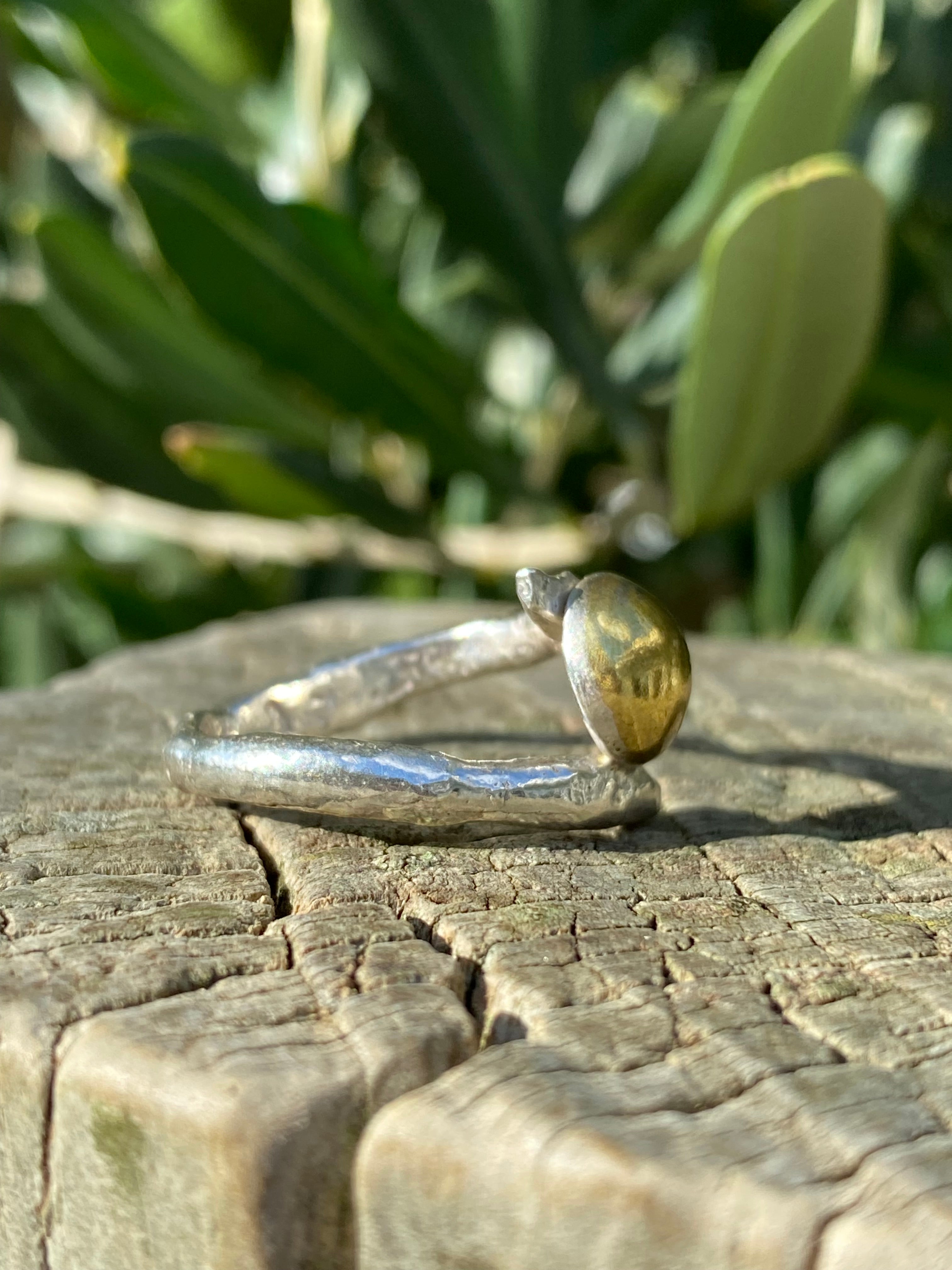 Organic Form Adjustable Silver & Brass Dome Ring