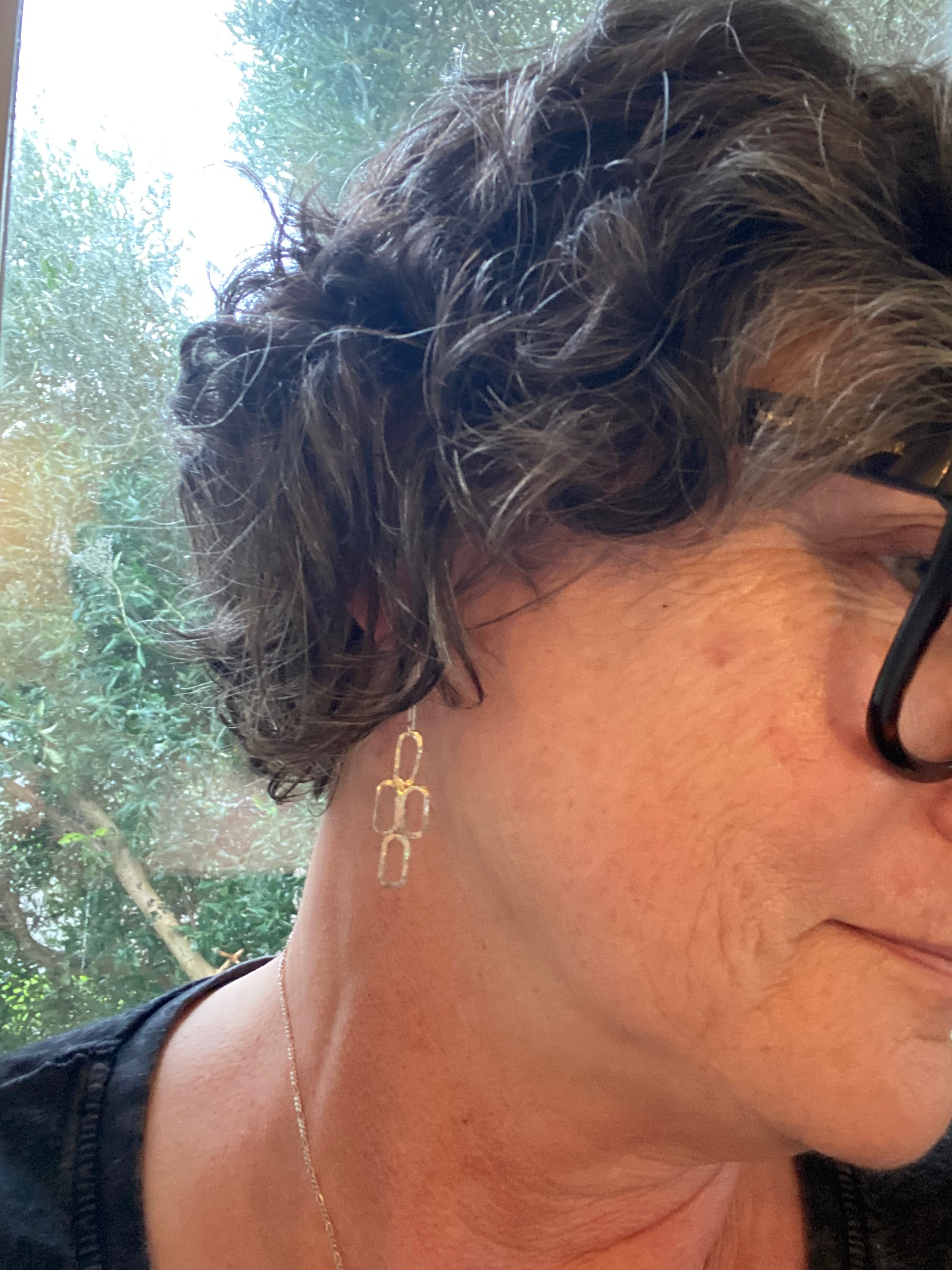 Sterling Silver Organic Link Earrings