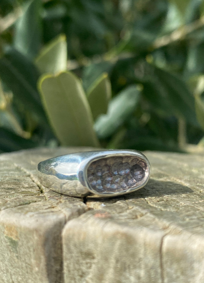 Sterling Silver Pod Ring Size P1/2