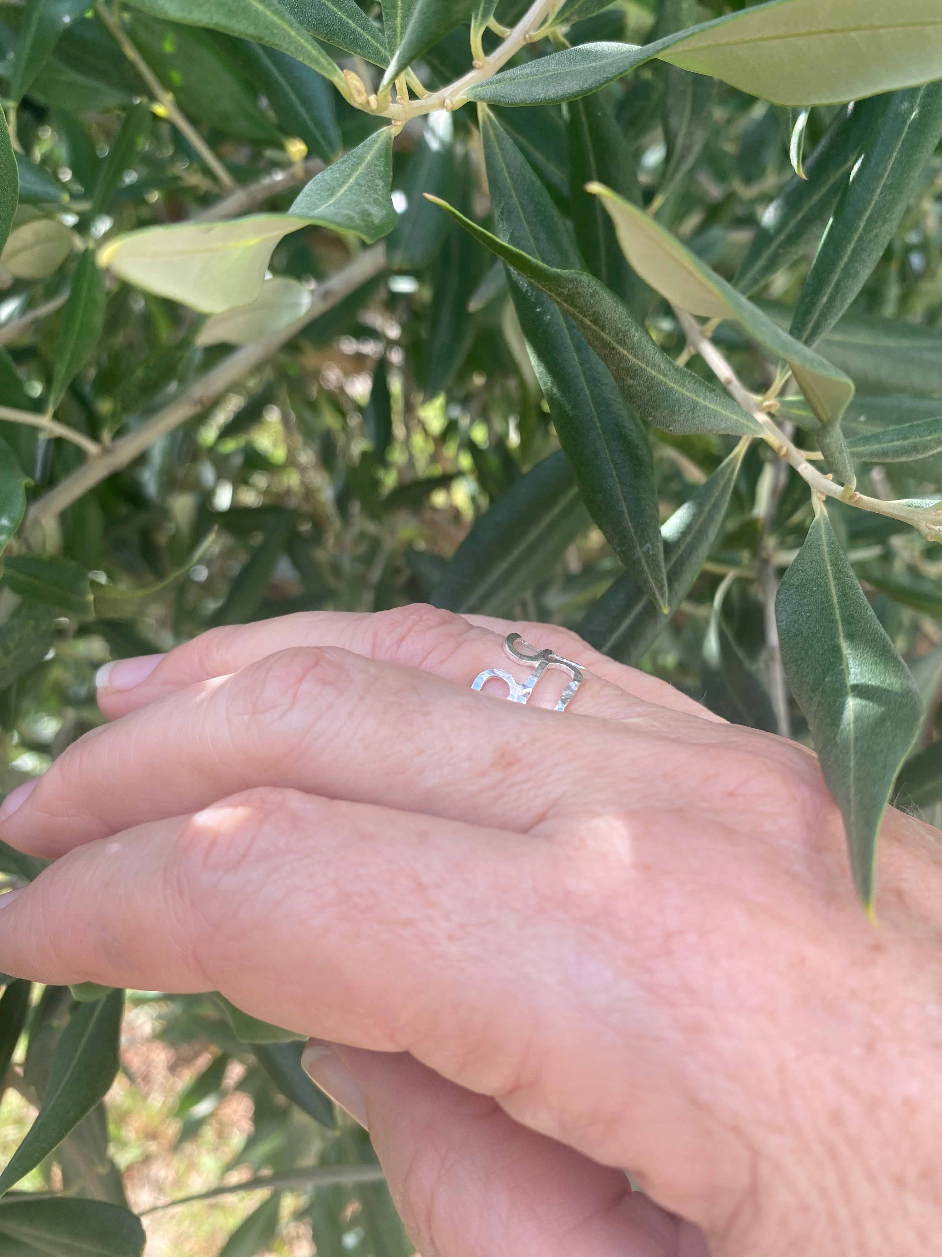 Double Row Hammered Silver Links Ring