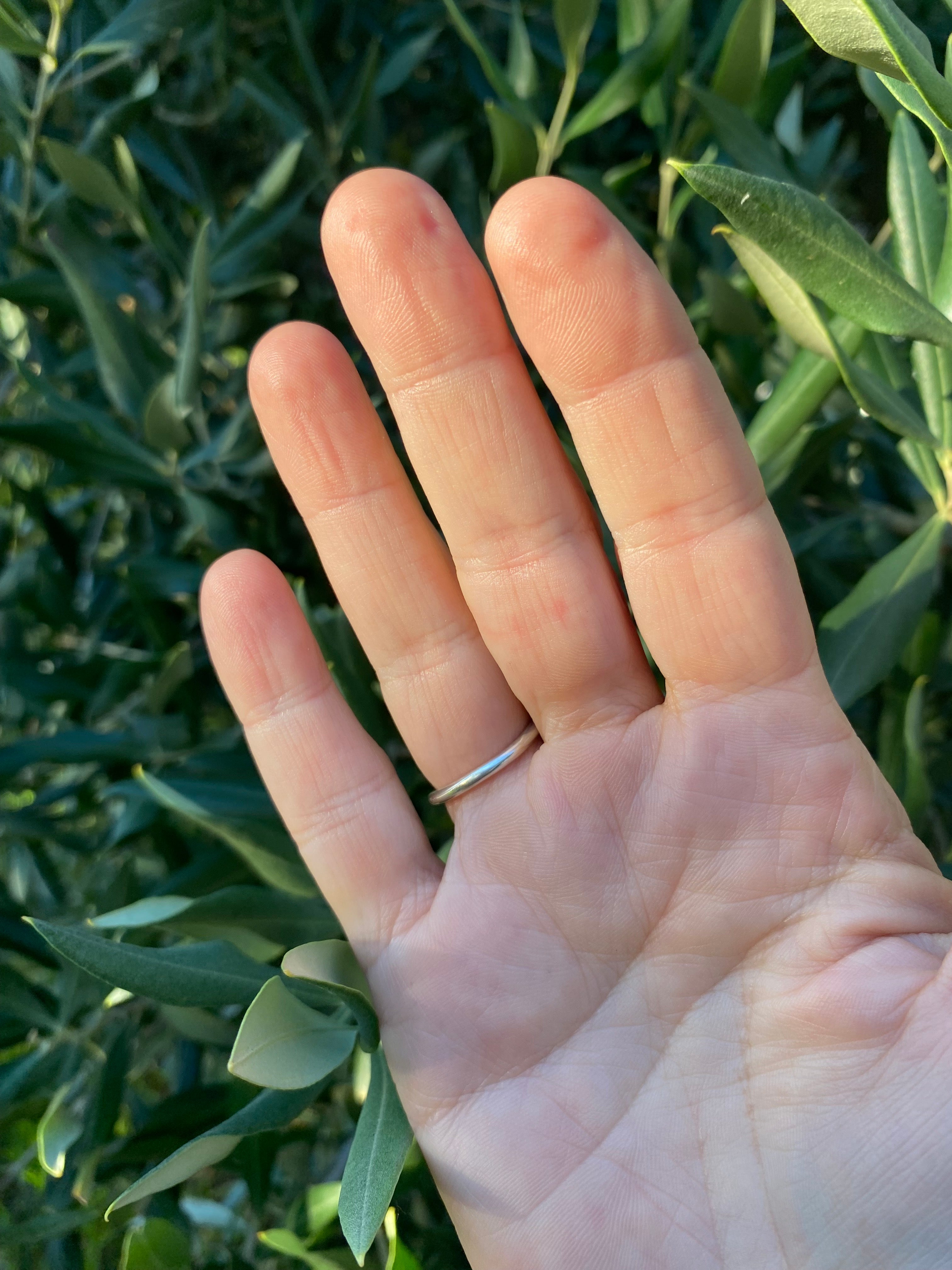 Sterling Silver Fern Frond Ring