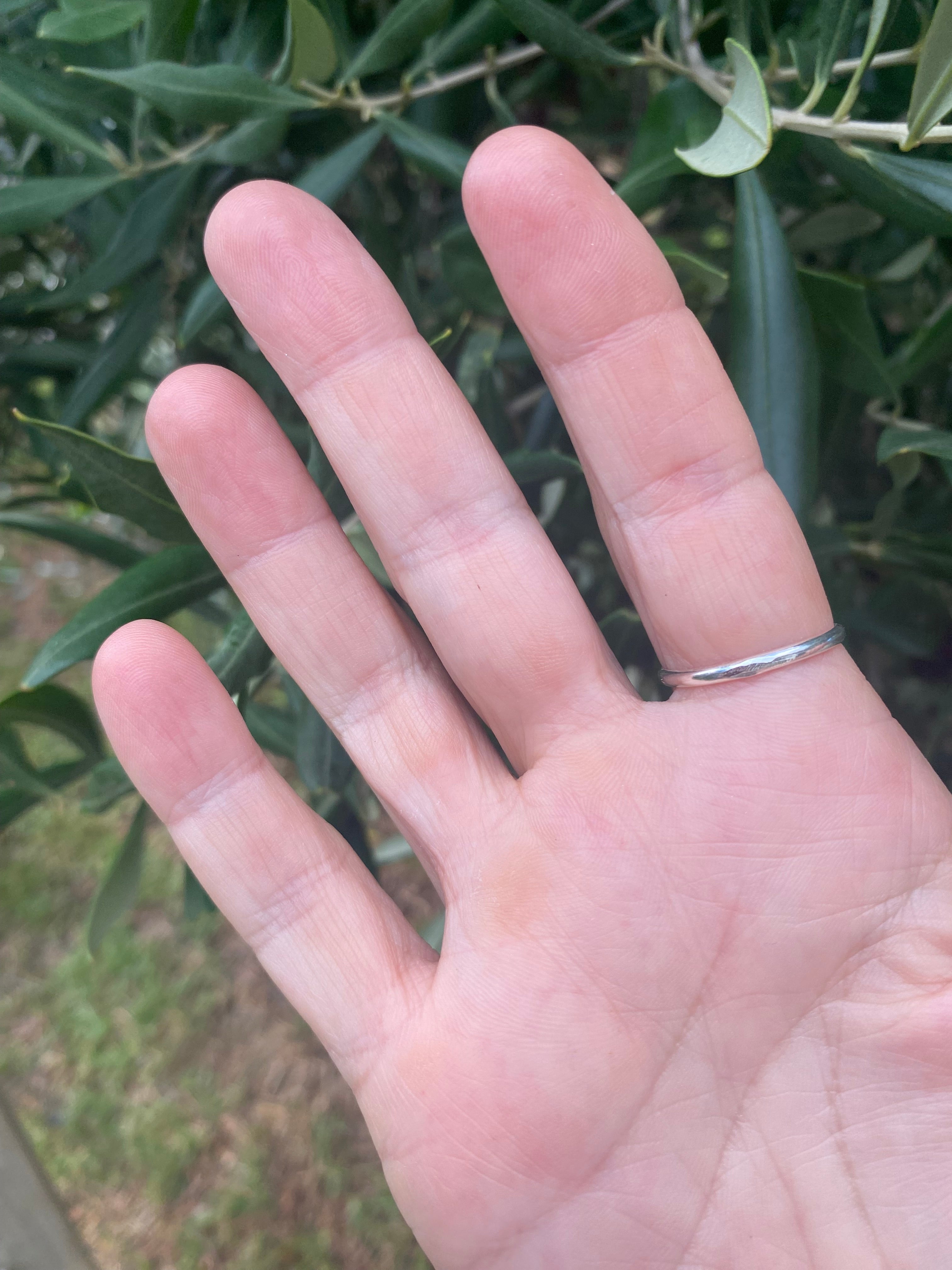 Silver Pebble Halo Ring